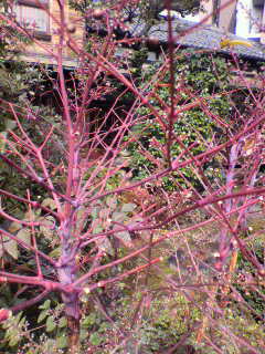 再生産_f0082794_3571928.jpg
