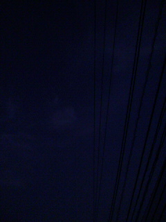 夜の散歩_f0082794_3583239.jpg