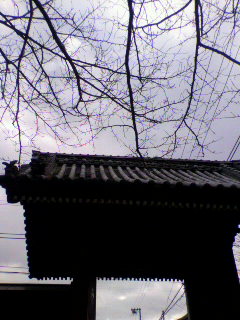 り_f0082794_413467.jpg