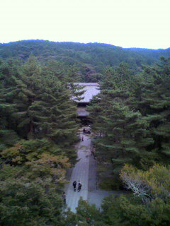 棘_f0082794_41495.jpg