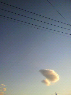 地平_f0082794_428506.jpg