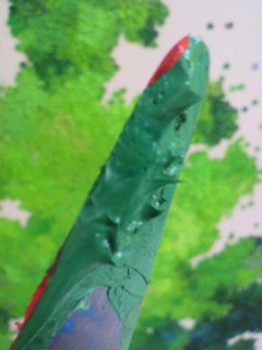 獲得_f0082794_439357.jpg