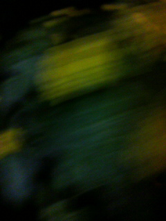 思考歩行_f0082794_4422974.jpg