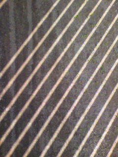 昼_f0082794_464415.jpg