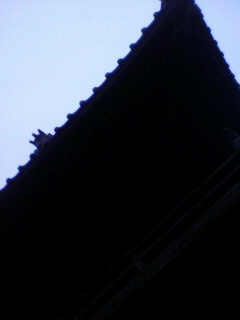 ぼくみーわし_f0082794_510497.jpg