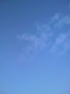 99_f0082794_515120.jpg