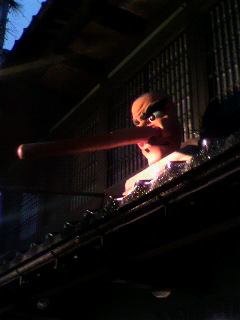 キトキト_f0082794_5232323.jpg
