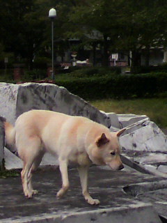 ホウイツ_f0082794_5251017.jpg
