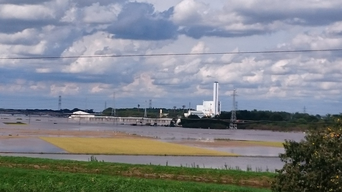 記録的大雨_f0082794_5322681.jpg