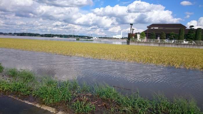 記録的大雨_f0082794_5322712.jpg