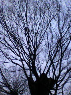 アース_f0082794_5361736.jpg