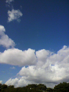離函_f0082794_5395232.jpg