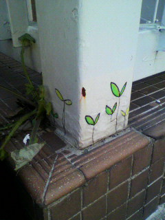 草_f0082794_5494718.jpg