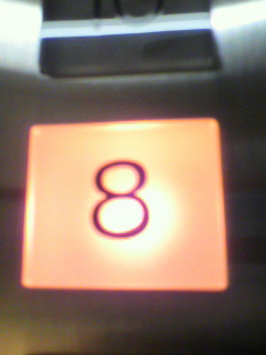 ゲリラ_f0082794_55579.jpg
