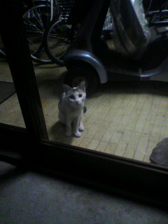 目先_f0082794_5584361.jpg