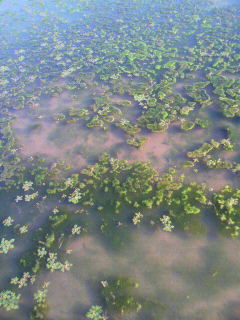 ミラー_f0082794_55967.jpg