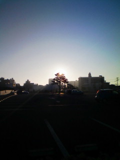 →静岡_f0082794_7202153.jpg