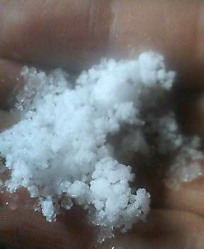 何雪？_f0082794_802986.jpg