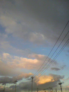 大_f0082794_8503977.jpg