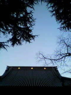 ホワキュー_f0082794_8585573.jpg