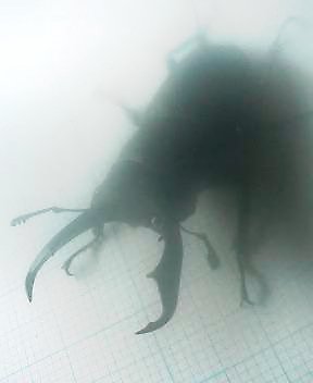 五_f0082794_9372836.jpg