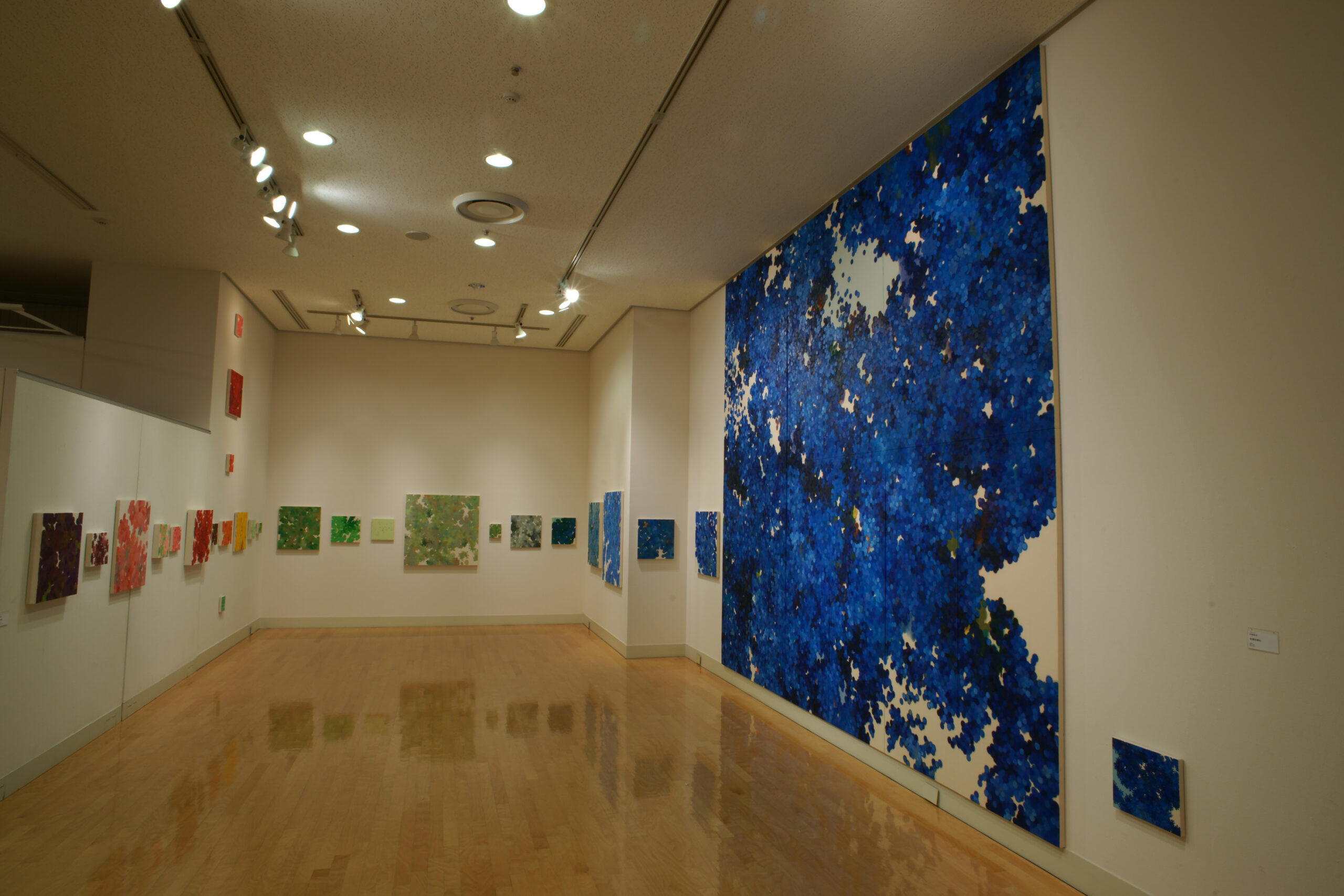 カイガのカイキ